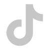 tiktok icon