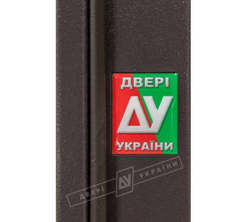 Вхідні Двері Салют м/м RAL 8019 SL03 Двері України
