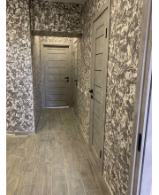 Міжкімнатні Двері Darumi Doors Leona сірий краст Чорне скло Міжкімнатні Двері Darumi Doors Leona сірий краст Чорне скло