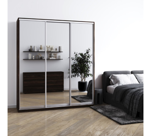 Мебель Шафа-купе Фаворит Ф-204