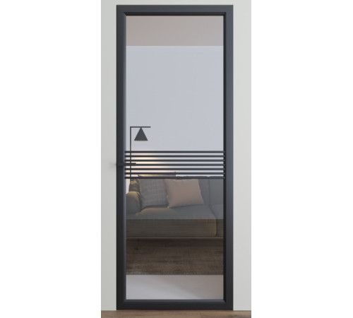 Міжкімнатні Двері Dooris Glass DG3