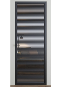 Двері Dooris Glass DG10