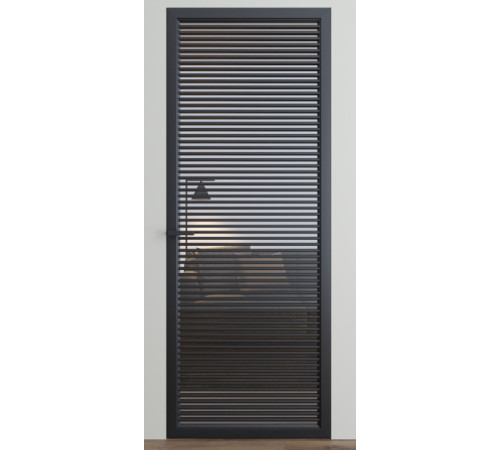 Межкомнатные Двери Dooris Glass DG10