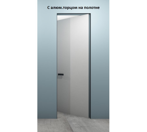 Міжкімнатні Двері Dooris Прихованного монтажу G00 INSIDE Alum грунт