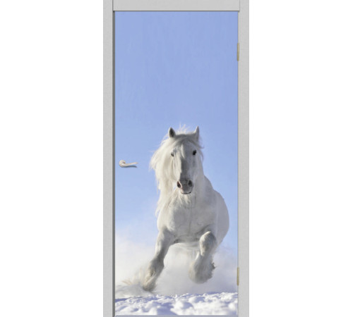 Міжкімнатні Двері Dorum Art AT-12