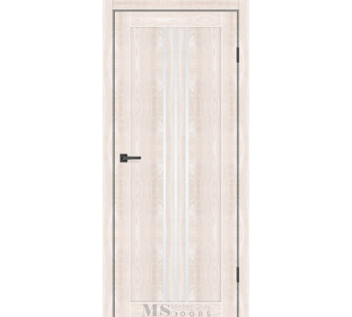 Міжкімнатні Двері MSDoors Eko Parker