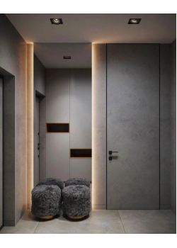 Двері RockWood Design до стелі Roof 1