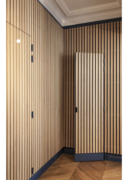 Двері RockWood Design з рейками Rail 1