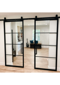 Двері RockWood Design MetalGlass 5