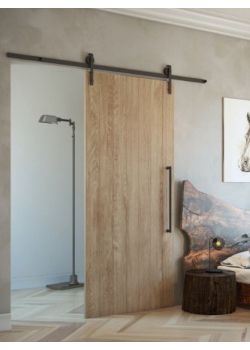 Розсувні Двері RockWood Loft 1