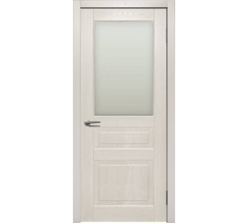 Двері Status Trend Premium TP-052-S01