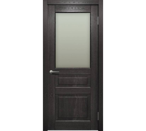 Двері Status Trend Premium TP-052-S01