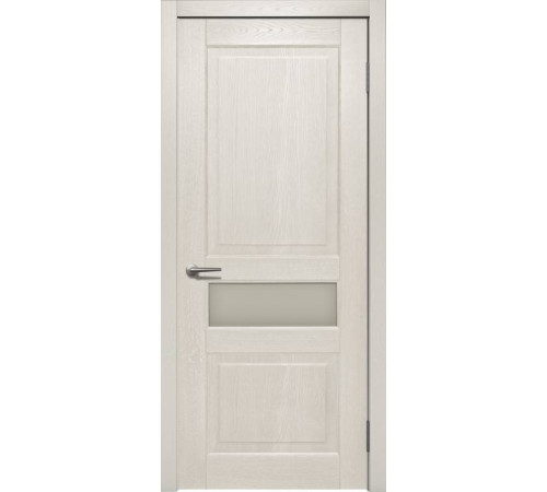 Двері Status Trend Premium TP-053-S01