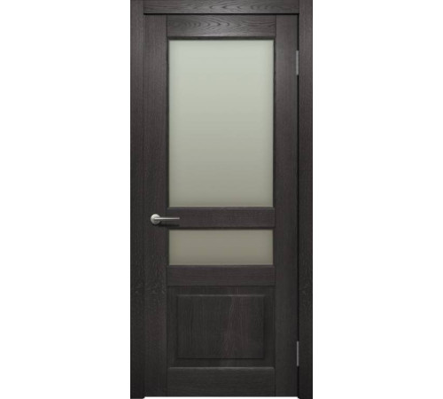 Двері Status Trend Premium TP-054-S01