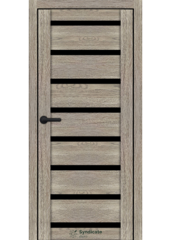 Двері Syndicate Doors SD-ECOTOP-103 Чорне скло