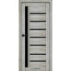 Межкомнатные Двери Syndicate Doors SD-ECOTOP-101 Черное стекло