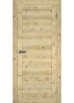 Двері Terminus Ukrainian Doors UD-1