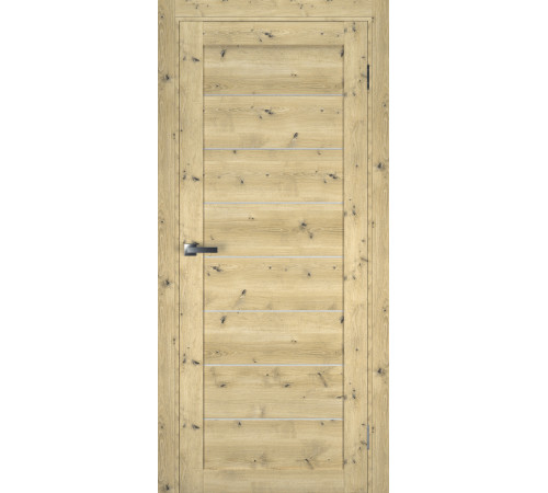 Міжкімнатні Двері Terminus Ukrainian Doors UD-1