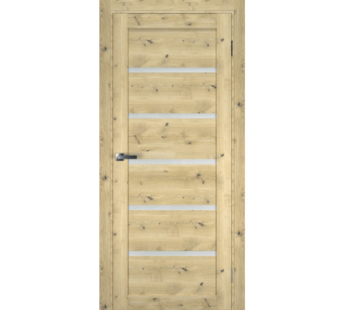 Міжкімнатні Двері Terminus Ukrainian Doors UD-4