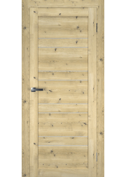 Двері Terminus Ukrainian Doors UD-6