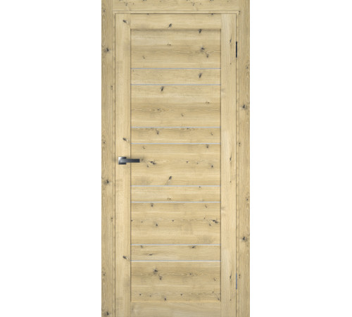 Міжкімнатні Двері Terminus Ukrainian Doors UD-6