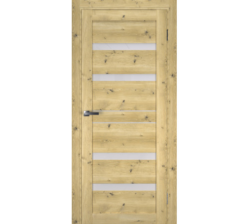 Міжкімнатні Двері Terminus Ukrainian Doors UD-8