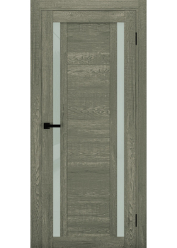 Двері Terminus Ukrainian Doors UD-17