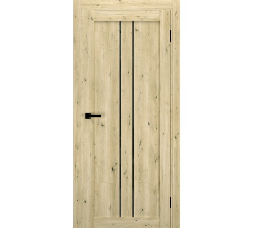 Міжкімнатні Двері Terminus Ukrainian Doors UD-14 Чорне скло