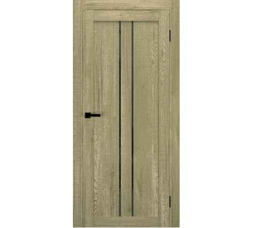 Міжкімнатні Двері Terminus Ukrainian Doors UD-14 Чорне скло
