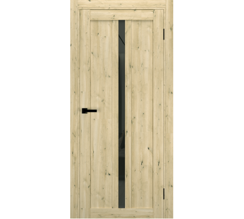 Міжкімнатні Двері Terminus Ukrainian Doors UD-19 Чорне скло