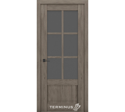 Міжкімнатні Двері Terminus Synchro 602 Чорне скло