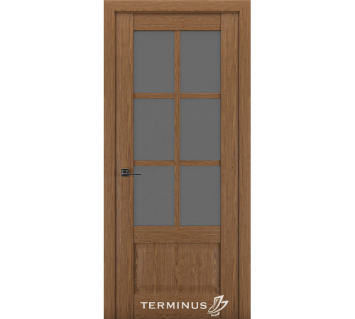 Міжкімнатні Двері Terminus Synchro 602 Чорне скло