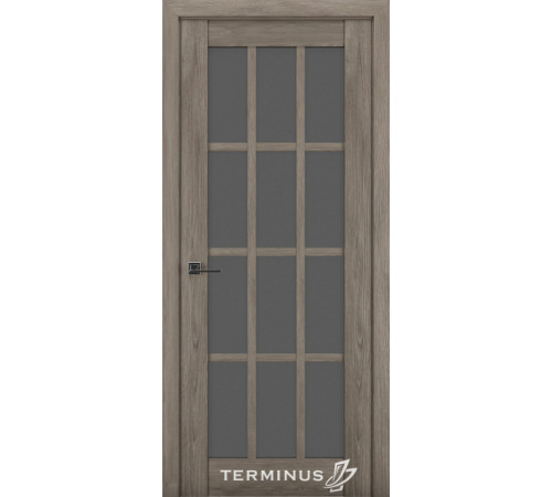 Міжкімнатні Двері Terminus Synchro 603 Чорне скло