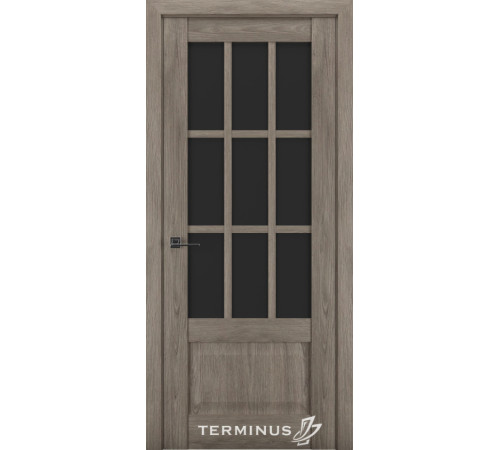 Міжкімнатні Двері Terminus Synchro 604 Чорне скло