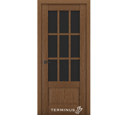 Міжкімнатні Двері Terminus Synchro 604 Чорне скло