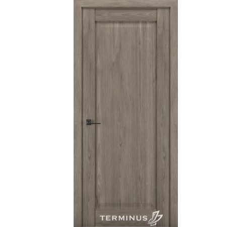 Міжкімнатні Двері Terminus Synchro 605 ПГ