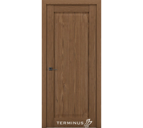 Міжкімнатні Двері Terminus Synchro 605 ПГ