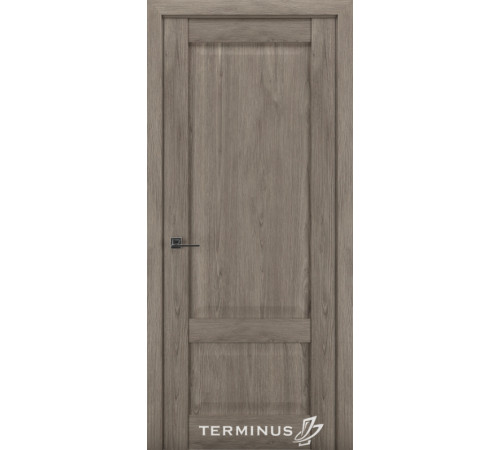 Міжкімнатні Двері Terminus Synchro 606 ПГ