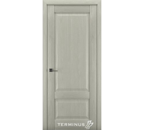Міжкімнатні Двері Terminus Synchro 606 ПГ
