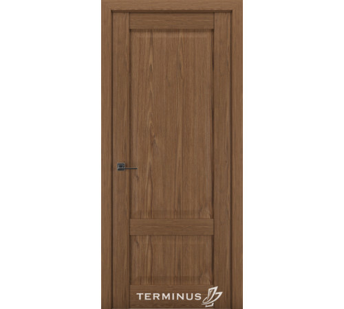 Міжкімнатні Двері Terminus Synchro 606 ПГ