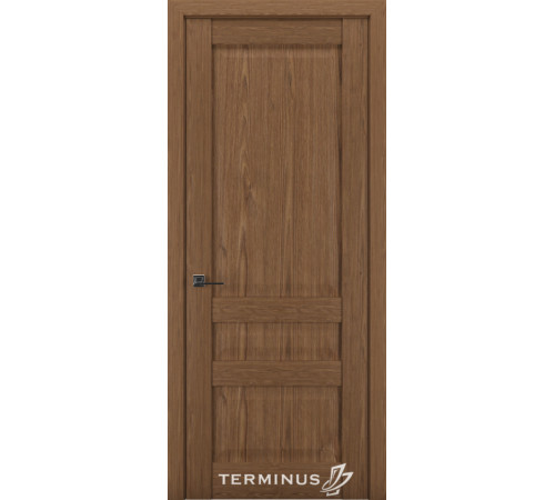 Міжкімнатні Двері Terminus Synchro 608 ПГ