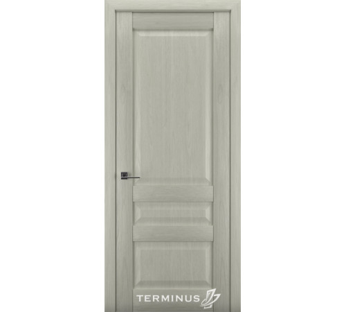 Міжкімнатні Двері Terminus Synchro 608 ПГ