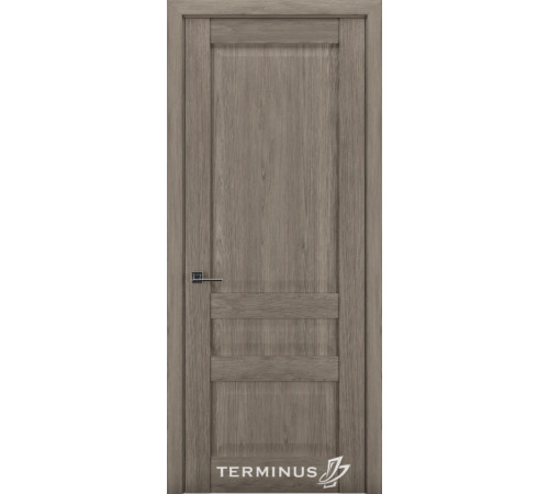 Міжкімнатні Двері Terminus Synchro 608 ПГ