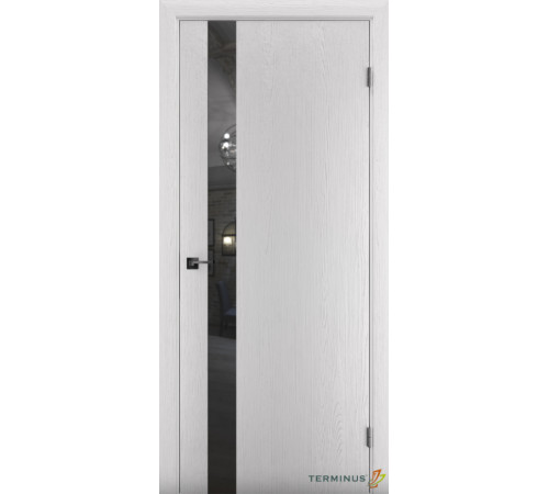 Межкомнатные Двери Terminus Solid 2 802