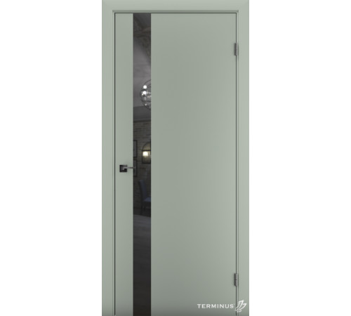 Межкомнатные Двери Terminus Solid 2 802