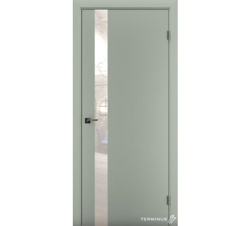 Межкомнатные Двери Terminus Solid 2 802