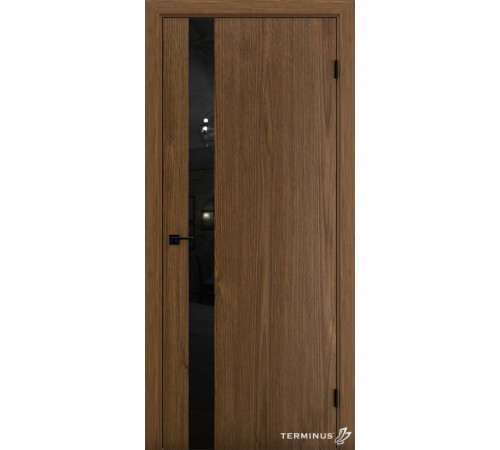 Межкомнатные Двери Terminus Solid 2 802