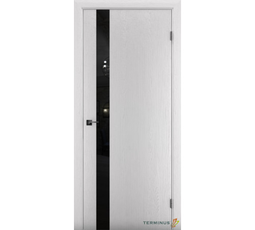 Межкомнатные Двери Terminus Solid 2 802