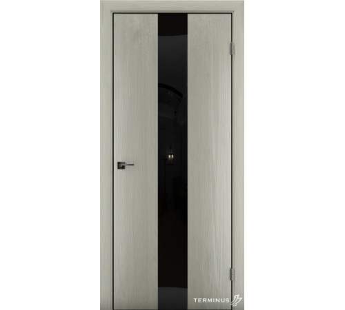 Межкомнатные Двери Terminus Solid 2 804