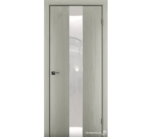 Межкомнатные Двери Terminus Solid 2 804
